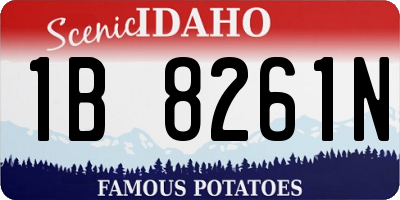 ID license plate 1B8261N