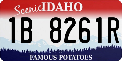 ID license plate 1B8261R