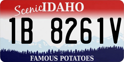 ID license plate 1B8261V
