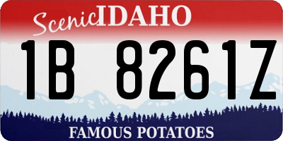 ID license plate 1B8261Z