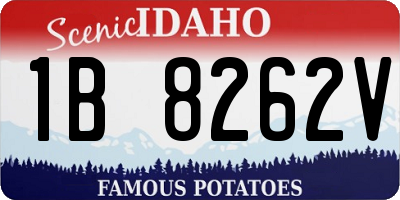 ID license plate 1B8262V