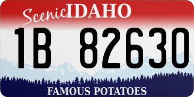 ID license plate 1B8263O