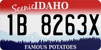 ID license plate 1B8263X