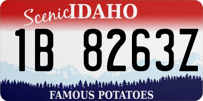 ID license plate 1B8263Z