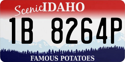 ID license plate 1B8264P