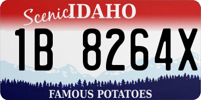 ID license plate 1B8264X