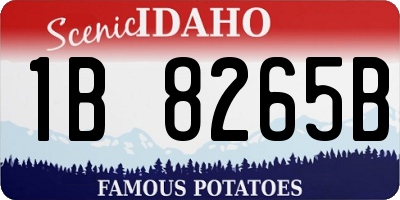 ID license plate 1B8265B