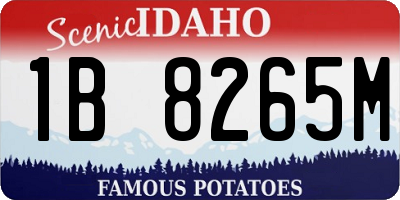 ID license plate 1B8265M