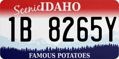 ID license plate 1B8265Y