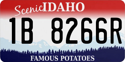ID license plate 1B8266R