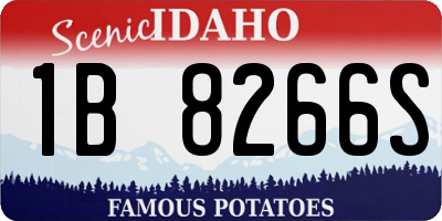 ID license plate 1B8266S