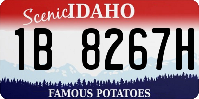 ID license plate 1B8267H