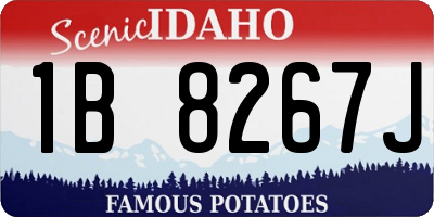 ID license plate 1B8267J