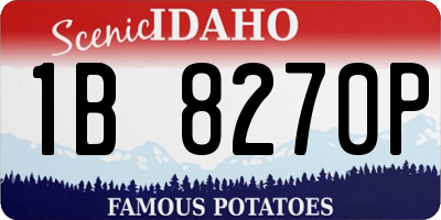 ID license plate 1B8270P