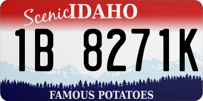 ID license plate 1B8271K