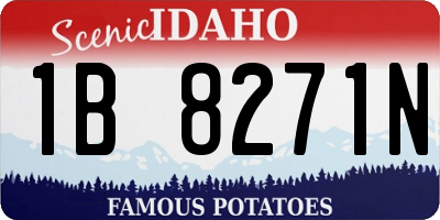 ID license plate 1B8271N