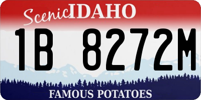 ID license plate 1B8272M