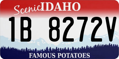 ID license plate 1B8272V