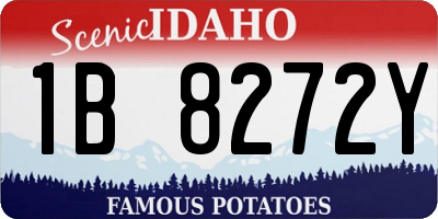 ID license plate 1B8272Y