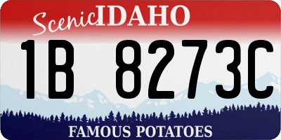 ID license plate 1B8273C