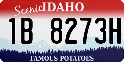 ID license plate 1B8273H