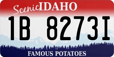 ID license plate 1B8273I
