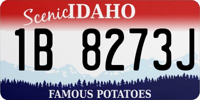 ID license plate 1B8273J