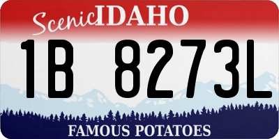 ID license plate 1B8273L