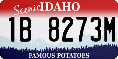 ID license plate 1B8273M