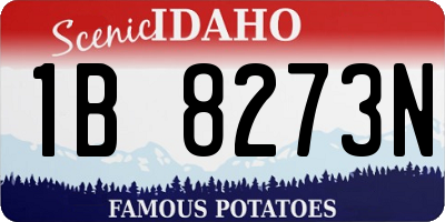 ID license plate 1B8273N