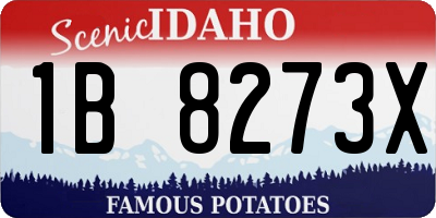 ID license plate 1B8273X