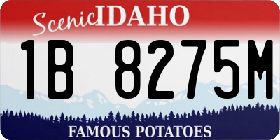 ID license plate 1B8275M