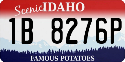 ID license plate 1B8276P