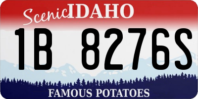 ID license plate 1B8276S