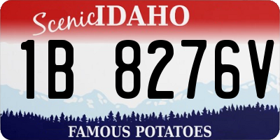 ID license plate 1B8276V
