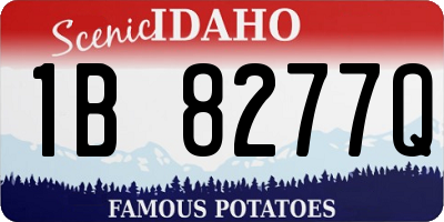 ID license plate 1B8277Q