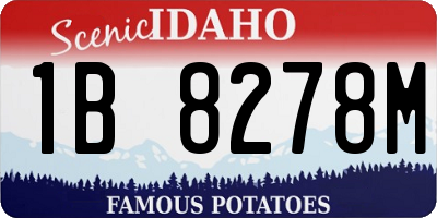 ID license plate 1B8278M