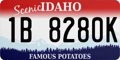 ID license plate 1B8280K