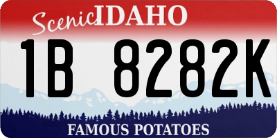 ID license plate 1B8282K