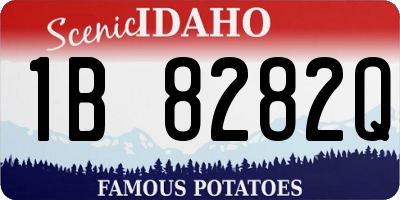ID license plate 1B8282Q