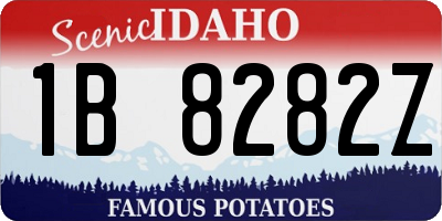 ID license plate 1B8282Z