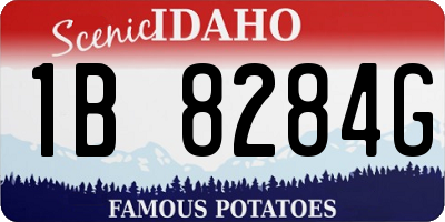 ID license plate 1B8284G