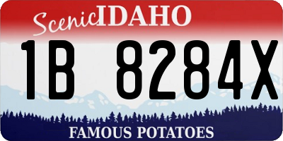 ID license plate 1B8284X