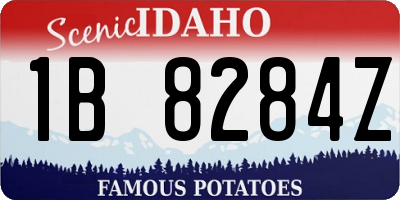 ID license plate 1B8284Z
