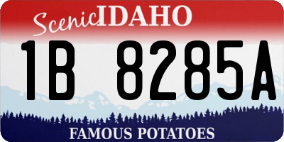 ID license plate 1B8285A