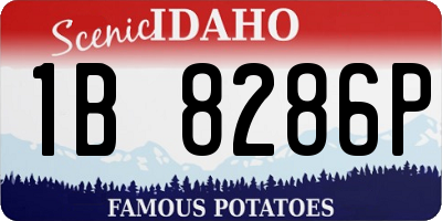 ID license plate 1B8286P