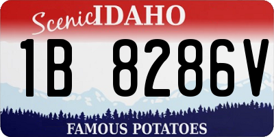 ID license plate 1B8286V