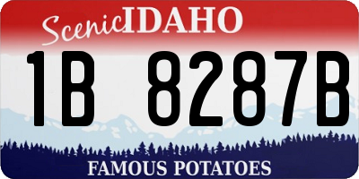 ID license plate 1B8287B