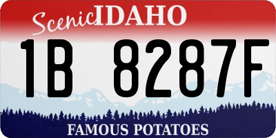 ID license plate 1B8287F