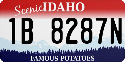 ID license plate 1B8287N